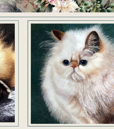 猫咪