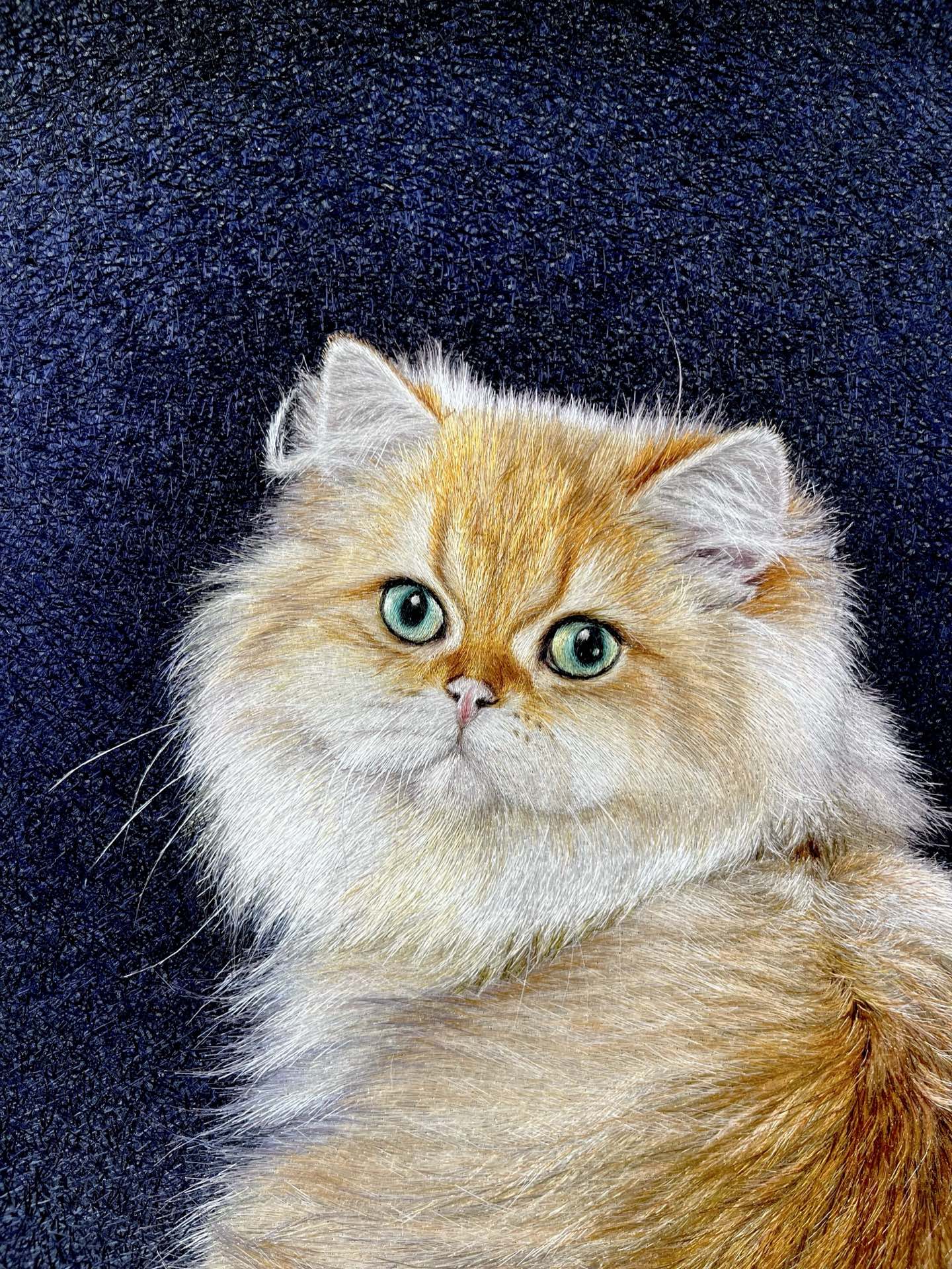 深蓝底金色长毛猫苏绣作品