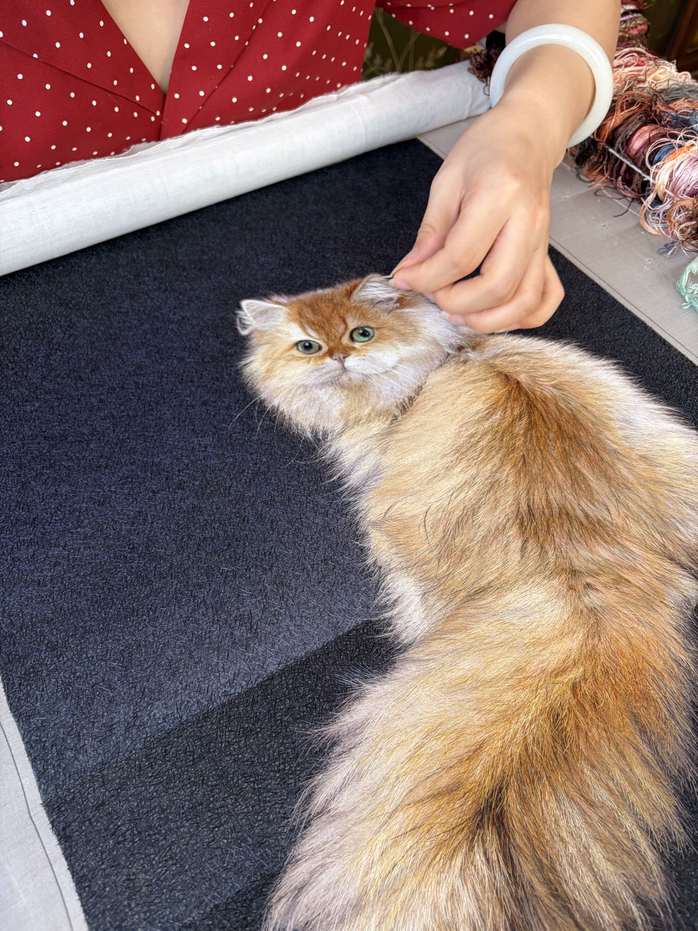 绣师正在细绣猫咪耳部与毛发